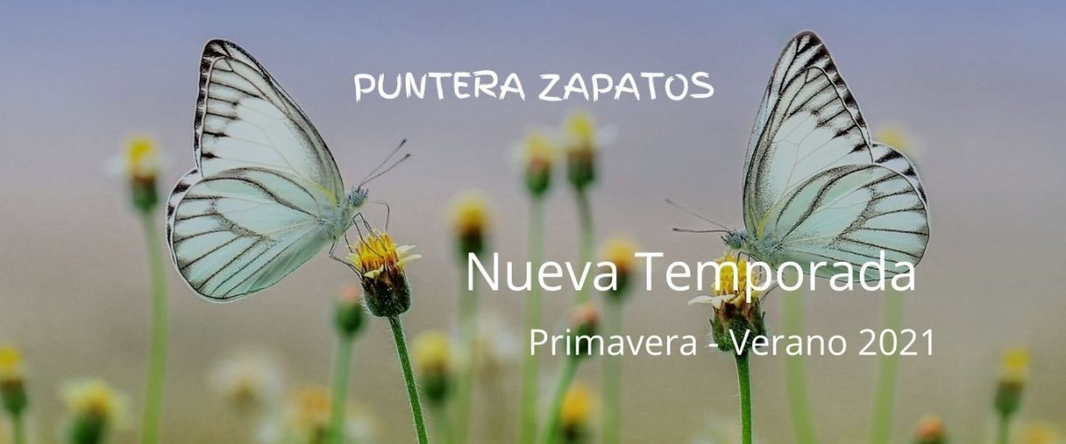 web nueva t